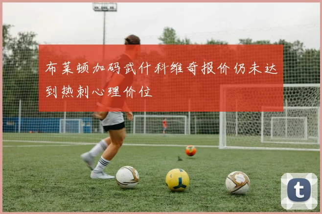 布莱顿加码武什科维奇报价仍未达到热刺心理价位
