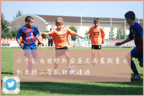 公牛队或将续约安芬尼西蒙斯勇士凯尔特人等队积极追逐